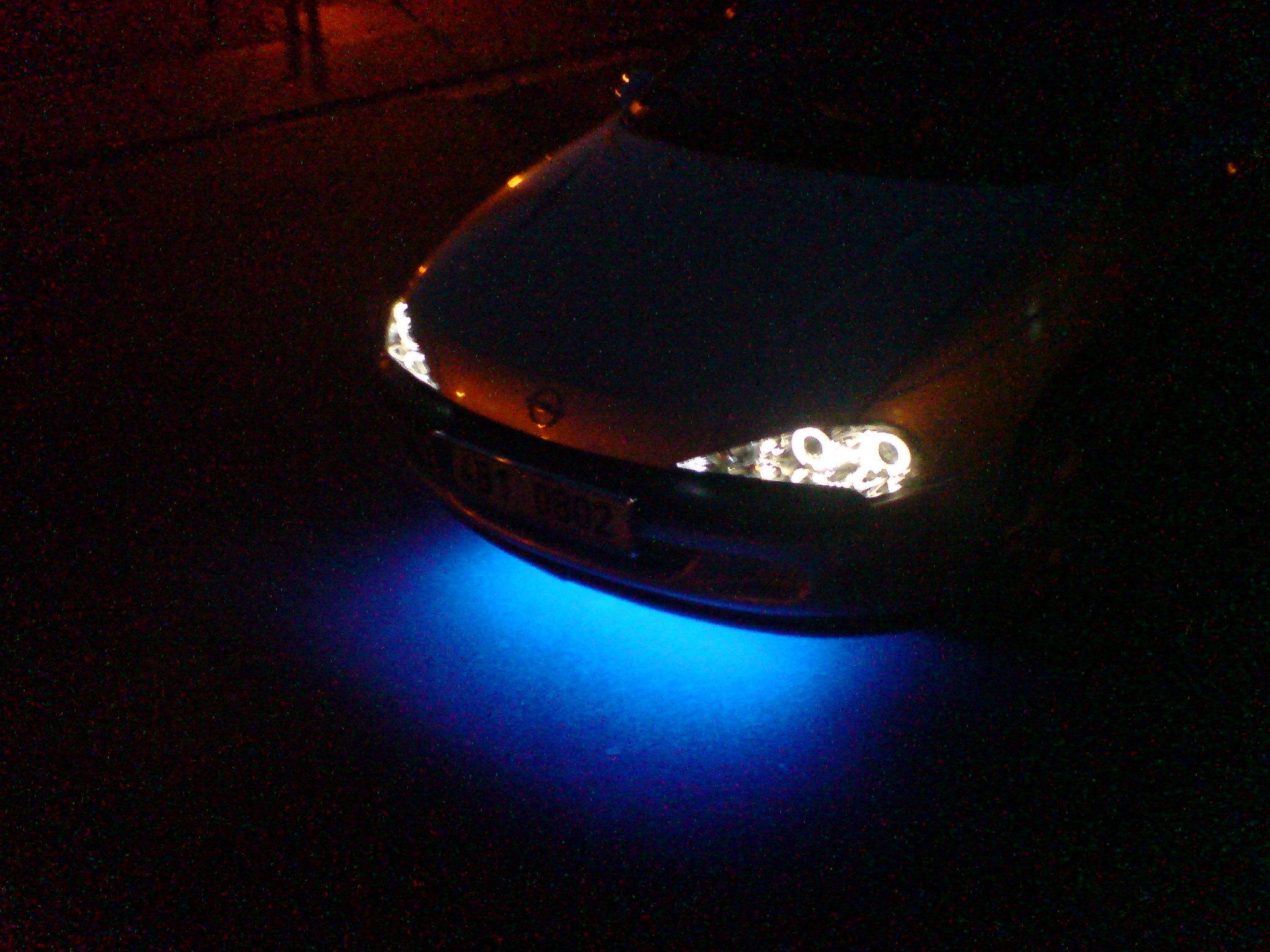 neon2.jpg